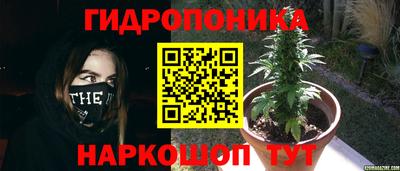 трава Пушкино
