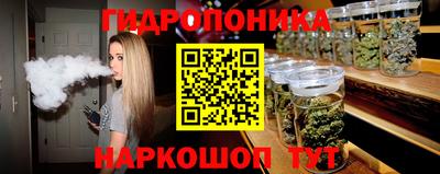 прущие грибы Пенза