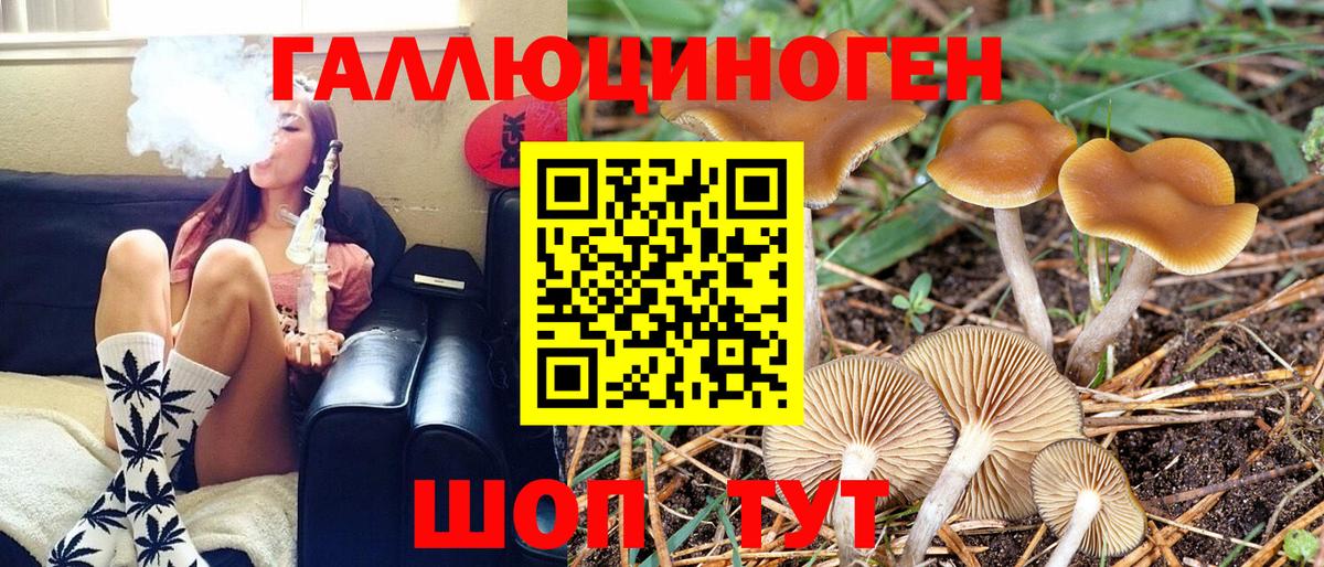 Галлюциногенные грибы Psilocybine cubensis Сердобск