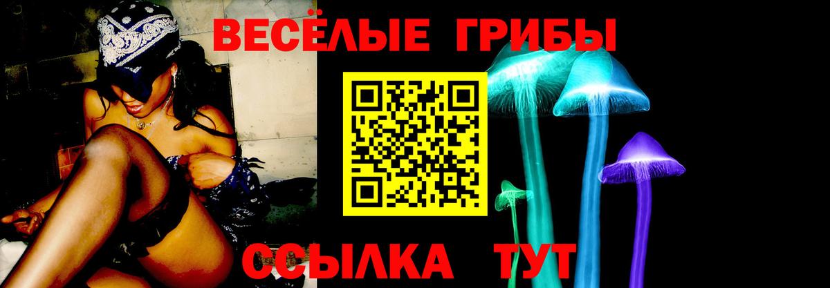 Псилоцибиновые грибы MAGIC MUSHROOMS  Галлюциногенные грибы мухоморы  Сердобск  Вход с VPN 